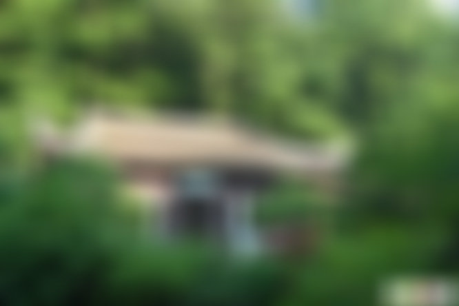 江苏盐城荷兰花海情侣园景点介绍1