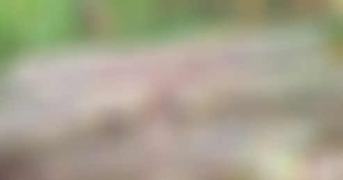 江苏南京金牛湖天子石床景区景点介绍1