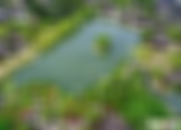 江苏苏州活的3D博物馆景点介绍1