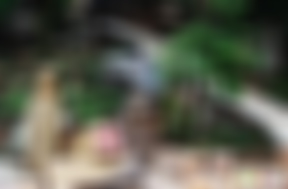 江苏苏州虞山宝岩虞山印象景区景点介绍1