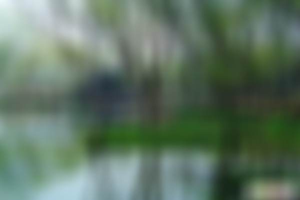 江苏无锡水浒影视城宋太公院景点介绍1