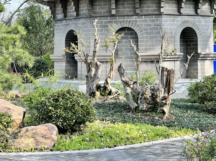 江苏扬州凤凰岛瞭望塔景点介绍3