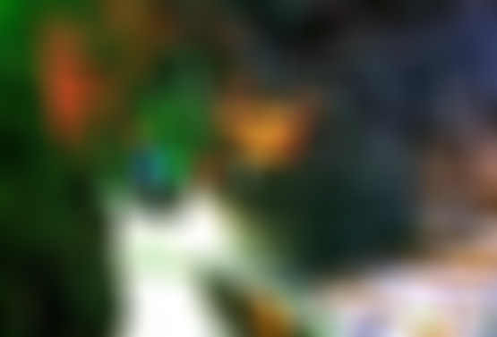 江苏泰州状元坊景点介绍1