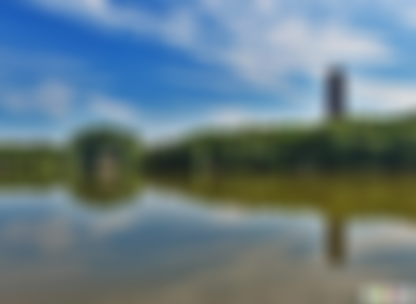 江苏常州芦墅公园景点介绍1