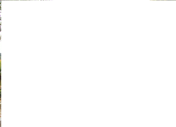 江苏苏州可园学古堂景点介绍1