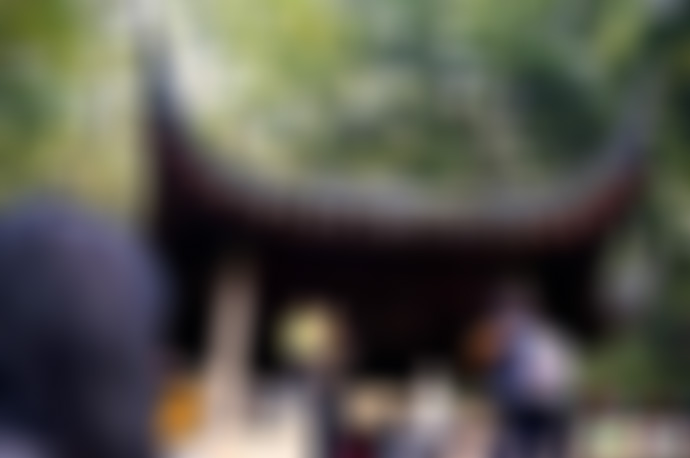 江苏盐城荷兰花海日岛景点介绍1