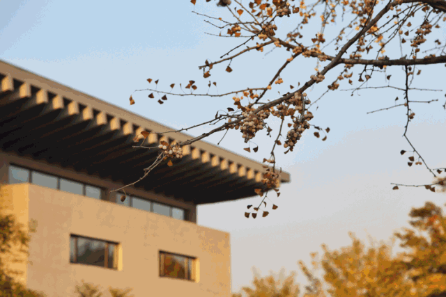 江苏徐州龟山圣旨博物馆景点介绍1