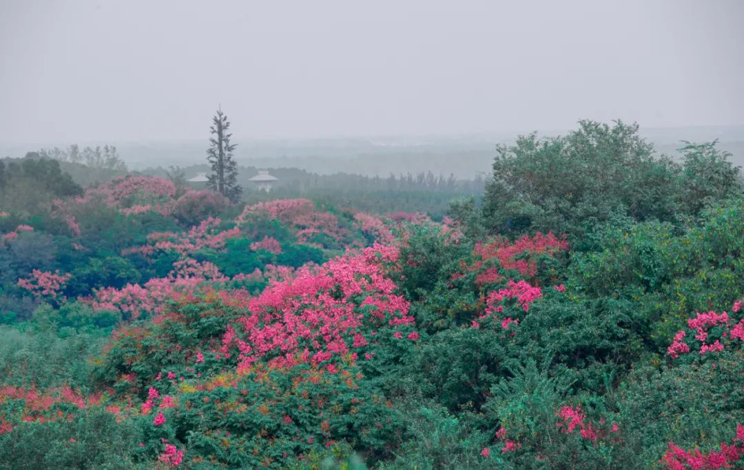 江苏徐州艾山百子戏弥勒景区景点介绍3