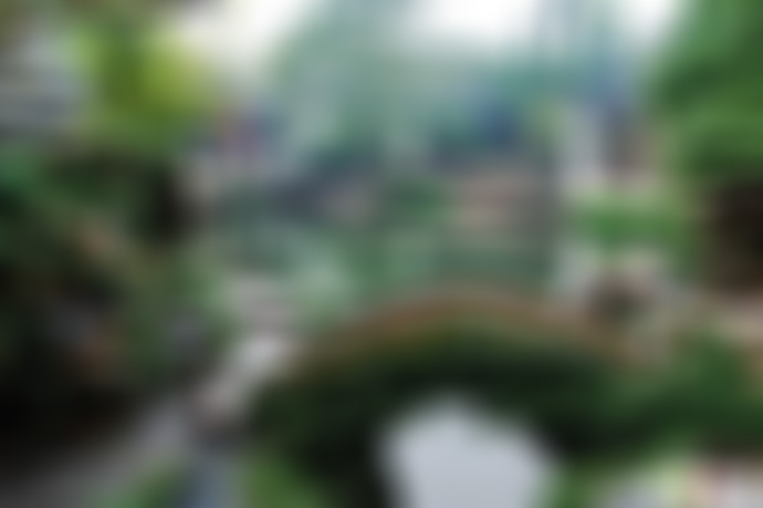 江苏苏州网师园引静桥景点介绍1