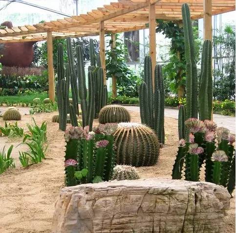 江苏扬州梅源居生态园景点介绍2