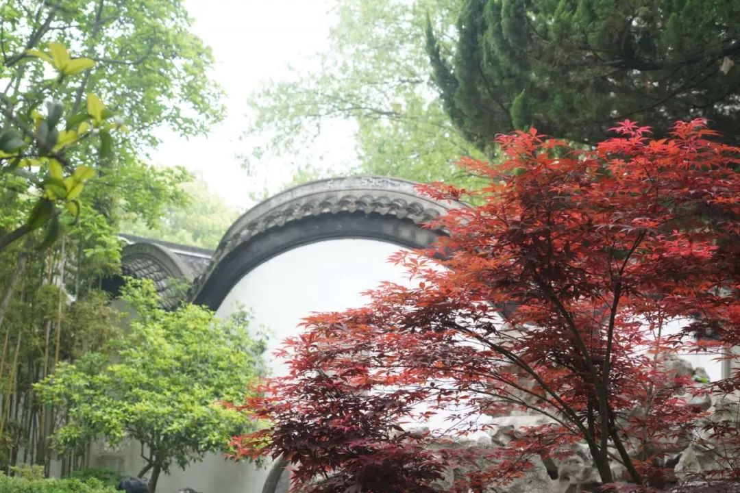 江苏南京南京总统府复园景点介绍2