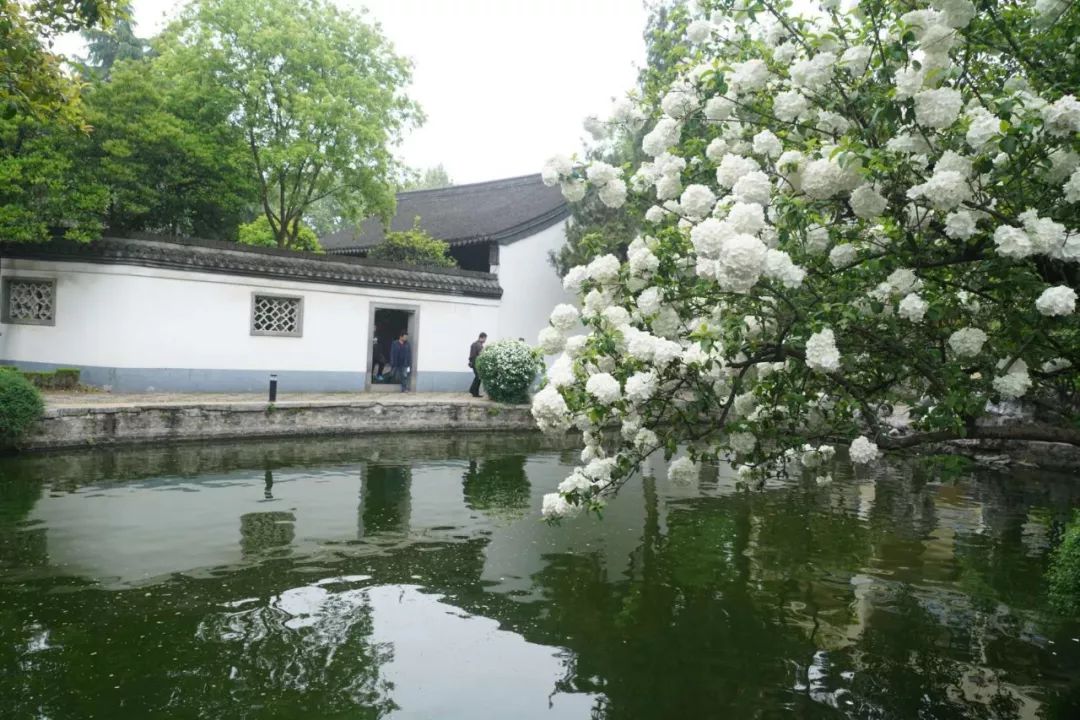 江苏南京南京总统府复园景点介绍3