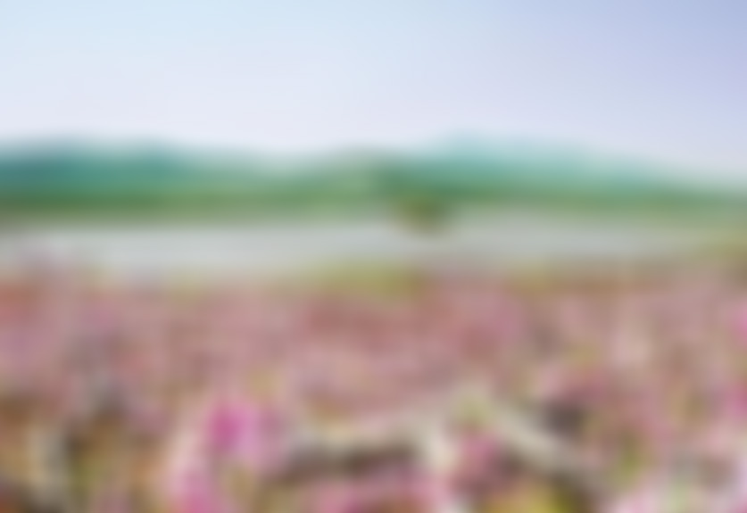 江苏南京愚园春晖堂景点介绍1