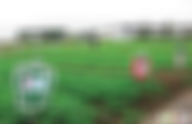 江苏无锡阳庄菜园景点介绍1