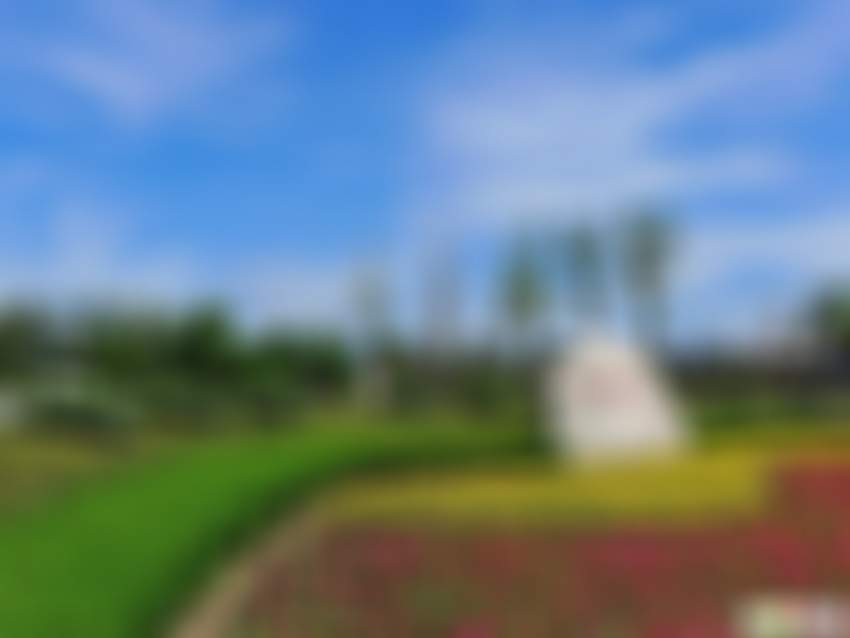 江苏盐城白天鹅公园景点介绍1