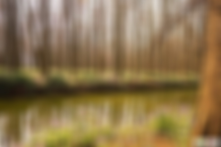 江苏苏州天平山飞来石景点介绍1