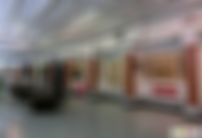 江苏苏州黎里古镇周宫傅祠景点介绍1