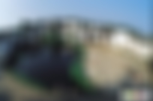 江苏扬州盂城驿柳荫禅林景点介绍1