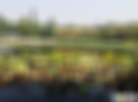 江苏苏州天平山望枫台景点介绍1