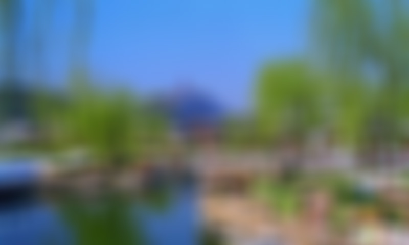 江苏南通南通园艺博览园景点介绍1