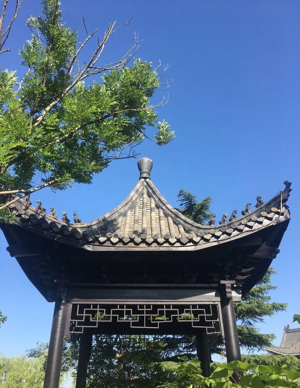 江苏宿迁洪泽湖牡丹园景点介绍1