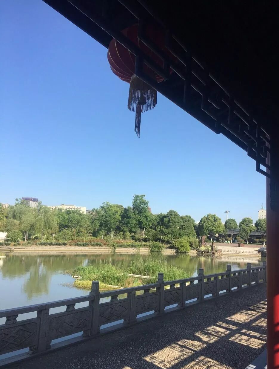 江苏盐城世纪公园(国家3A级)景点介绍2