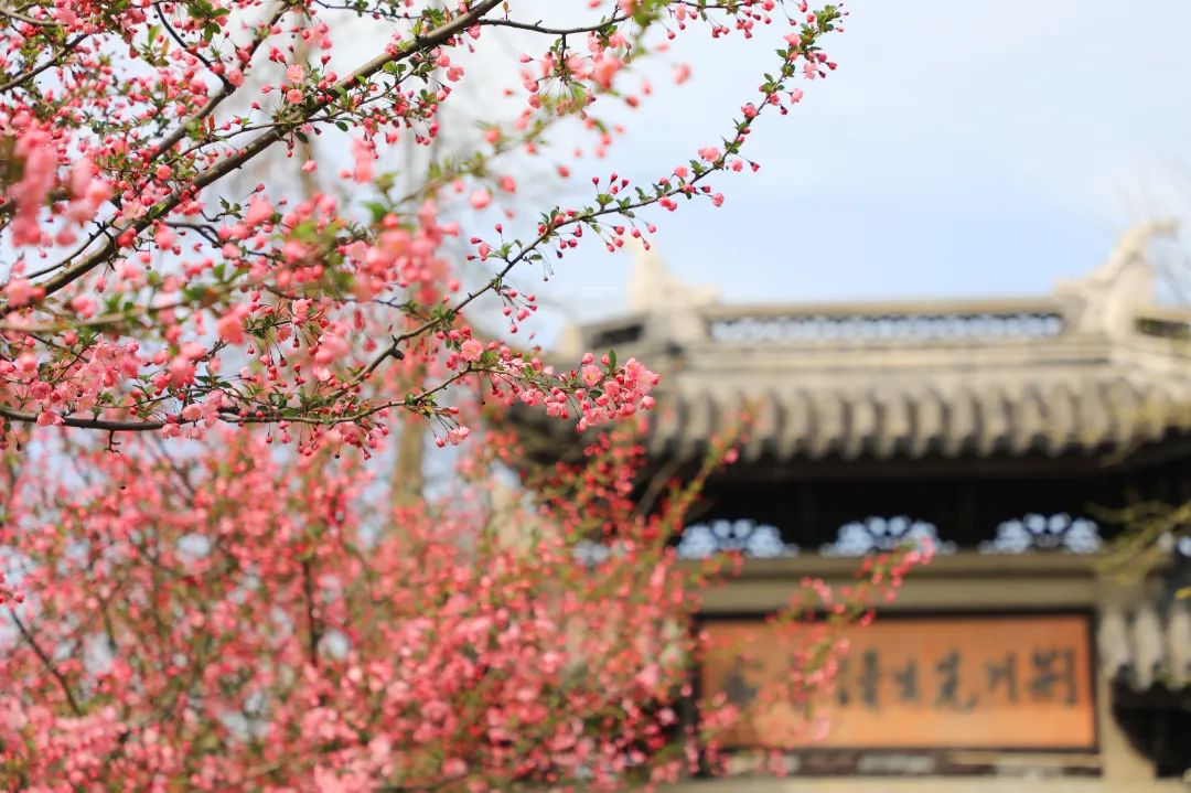 江苏常州荆川公园景点介绍1