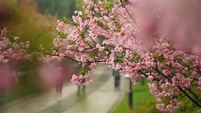 江苏常州荆川公园景点介绍2