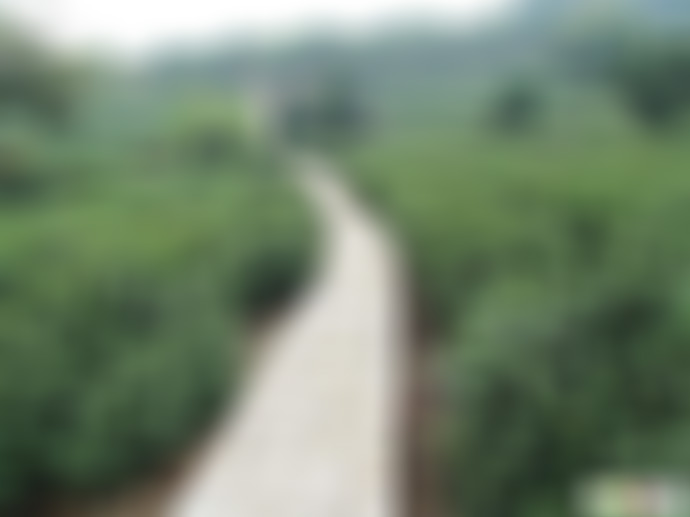 江苏苏州白马涧龙池景点介绍1