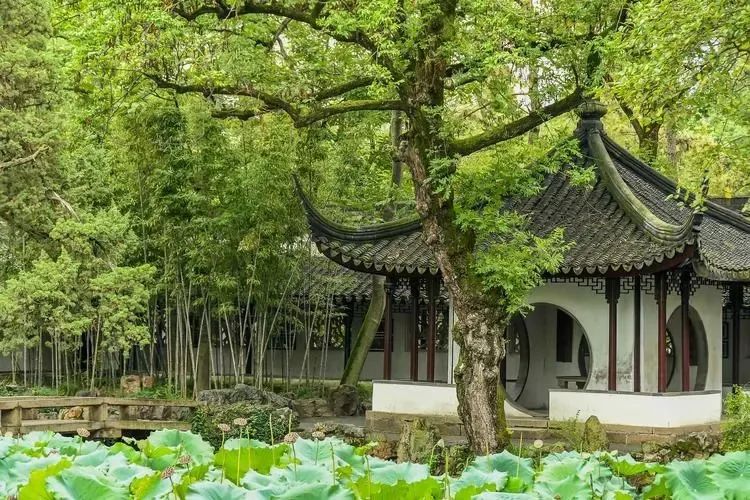 江苏苏州拙政园(国家5A级)景点介绍2