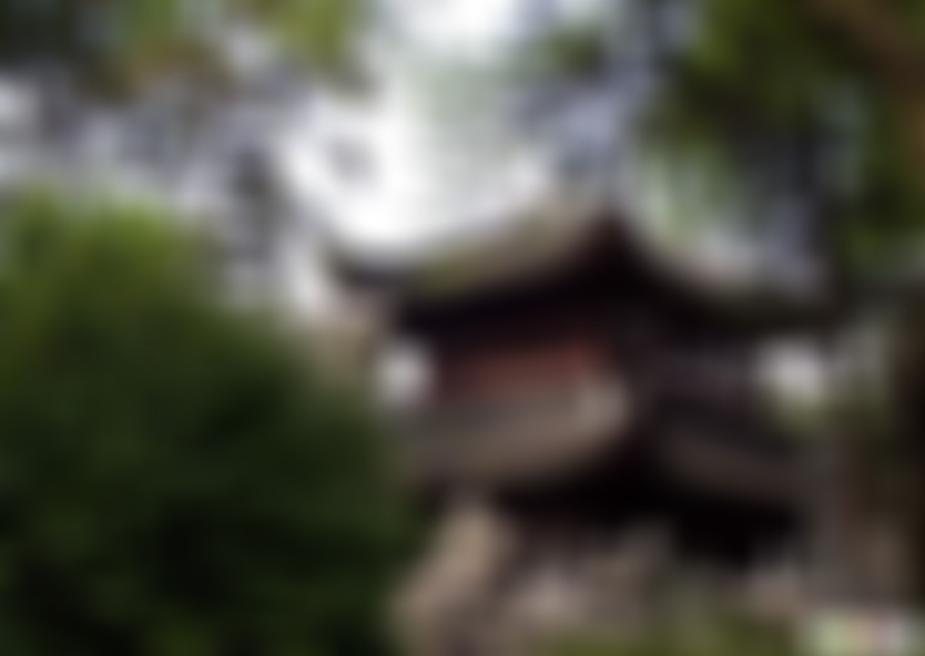 江苏苏州卫道观景点介绍1