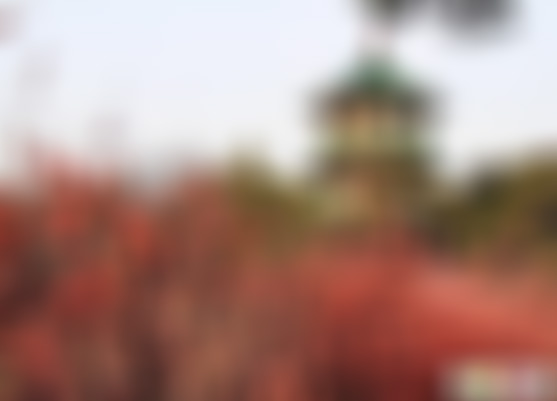 江苏苏州上方山范公祠景点介绍1