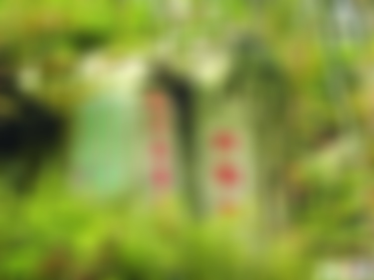 江苏苏州天平山白云泉景点介绍1