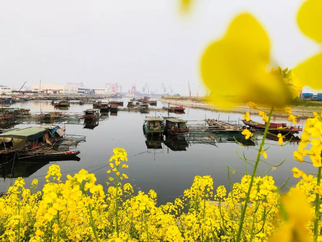 江苏南通沿江渔村景点介绍1