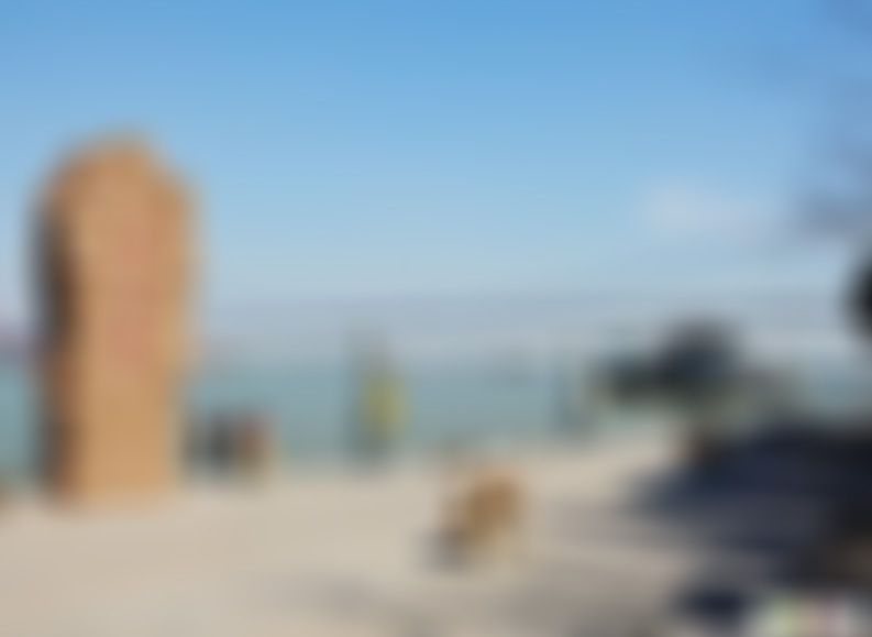 江苏南京牛首山李瑞清墓景点介绍1