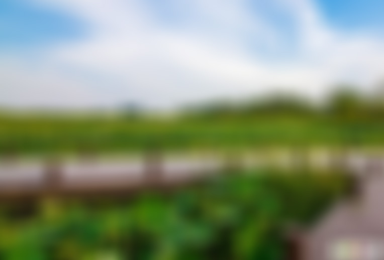 江苏南京阅江楼地藏寺景点介绍1