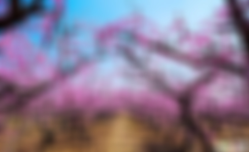 江苏徐州果都大观园(国家3A级)景点介绍1