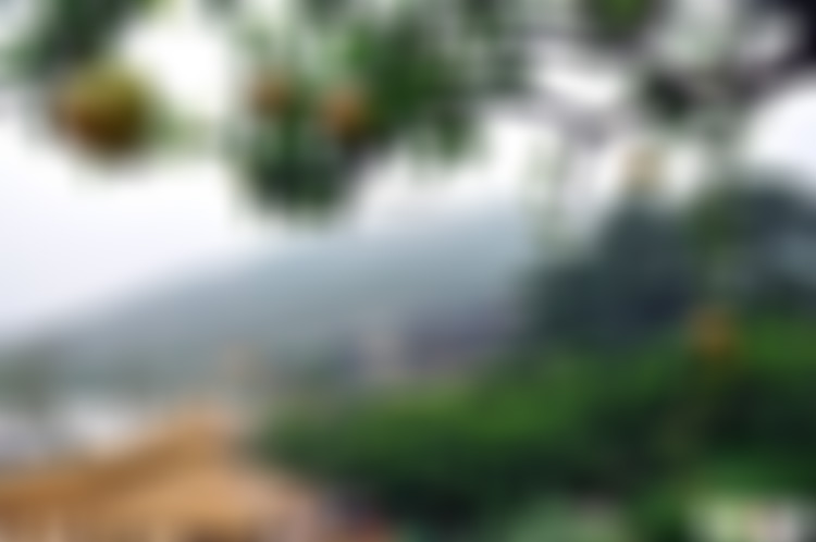 江苏南京东山香樟园景点介绍1