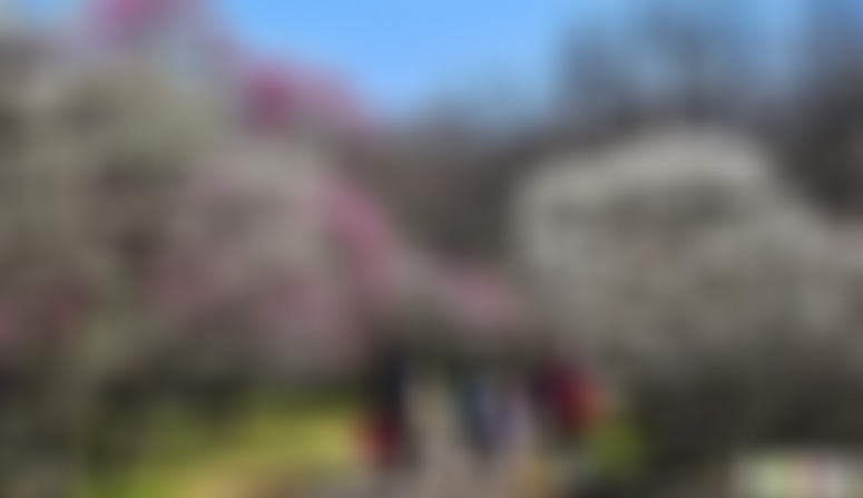 江苏无锡宜兴竹海悬空栈道景点介绍1