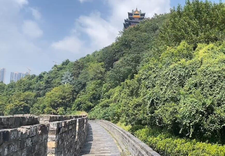 江苏南京古林公园四方八景阁景点介绍1