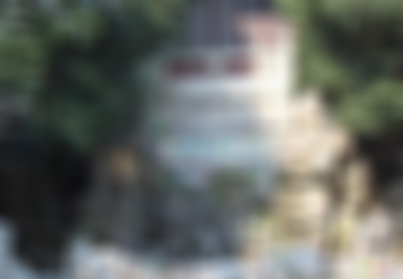 江苏扬州何园贴壁假山景点介绍1