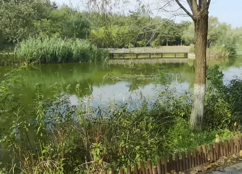 江苏苏州锦溪古镇莲池禅院景点介绍1