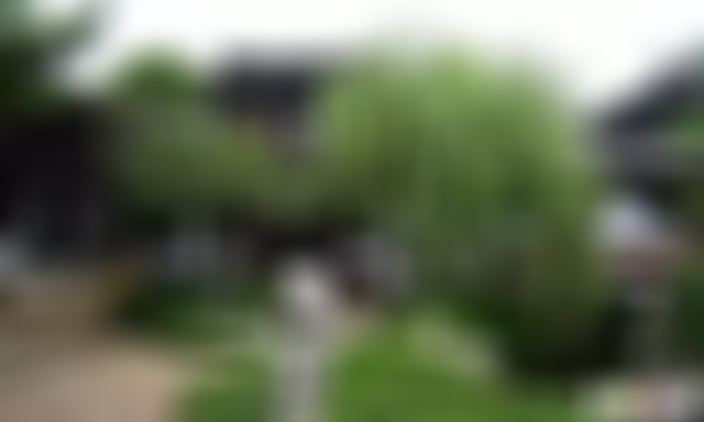 江苏苏州拙政园宜两亭景点介绍1