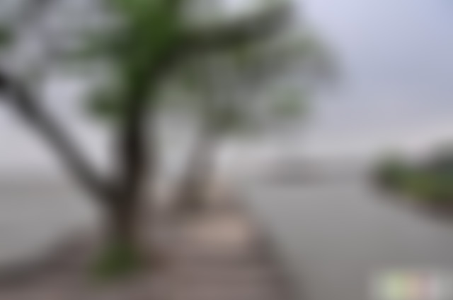 江苏扬州东湖湿地公园景点介绍1