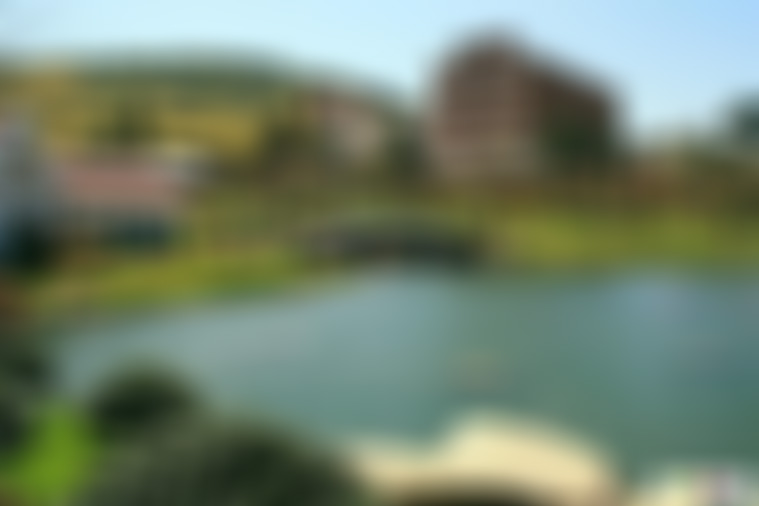 江苏盐城九龙口东海王墓景点介绍1