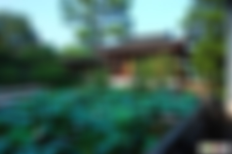 江苏淮安中国漕运博物馆景点介绍1