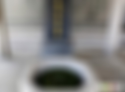 江苏常州翠竹公园景点介绍1