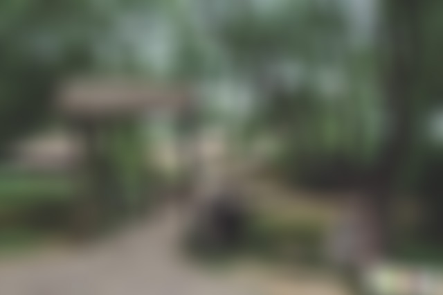 江苏泰州泰兴公园景点介绍1