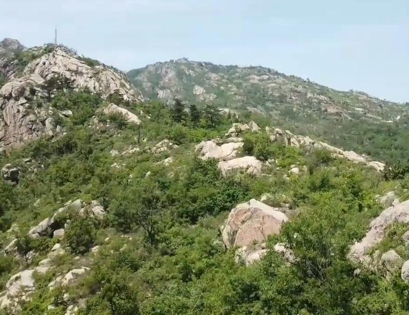 江苏盐城大马沟生态公园景点介绍1