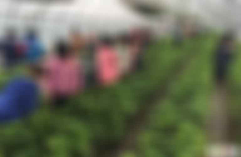 江苏徐州马陵山抗日烈士纪念碑景点介绍1